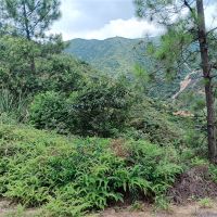 2礦同出！260萬方/年！廣東砂石大礦掛牌出讓
