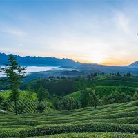 500萬(wàn)噸/年！湖北儲(chǔ)量約1.12億噸建筑用花崗巖礦擬掛牌出讓